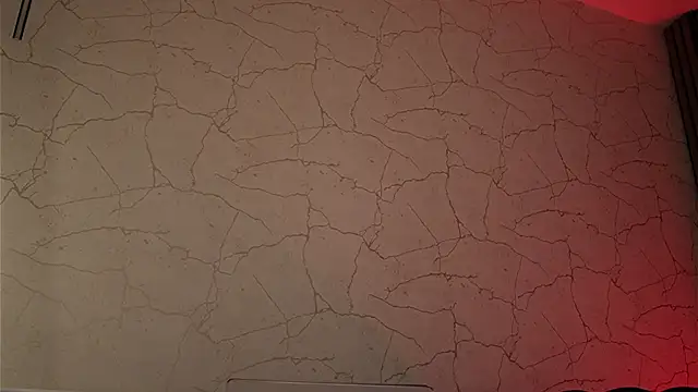 sisi_von_dee Obrolan Langsung XXX