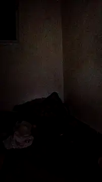trans511 Chat XXX live
