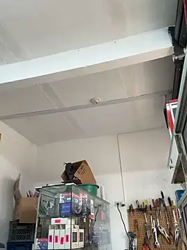Chat +18 de Paul22cm- ao vivo