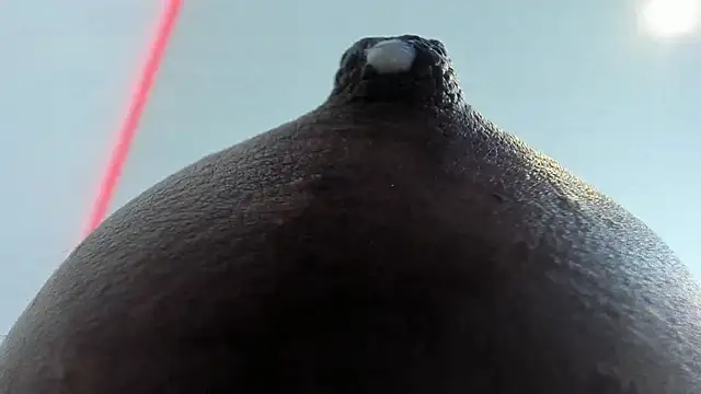 Živý XXX chat zara_lopez