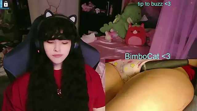 BimboCat Live XXX Chat