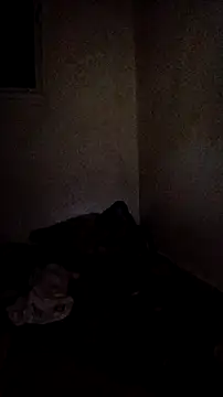trans511 – Naživo XXX chat