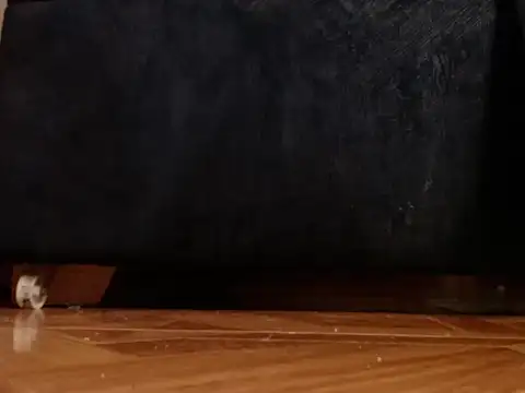 Živý XXX chat alphaswitchard