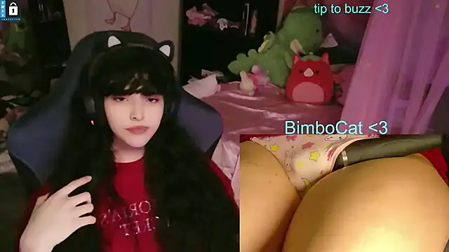 BimboCat 现场XXX聊天