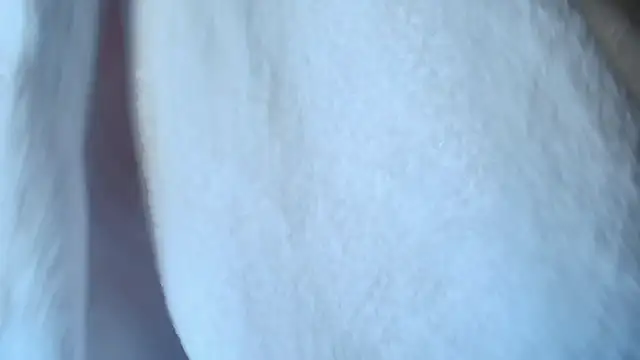 Maddyluxe Live XXX-Chat