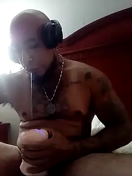 Mac15151 Show in webcam