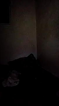 trans511 Chat XXX live