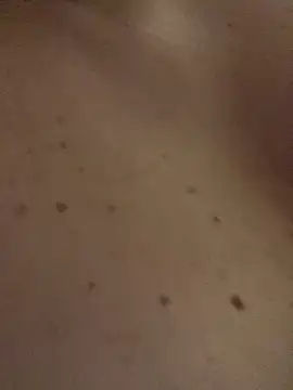 SexyTs888 라이브 XXX 채팅