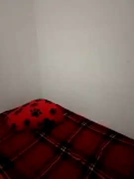 Chat +18 de Scarlet_01_ ao vivo