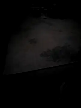 realeasy1's Webcam Show