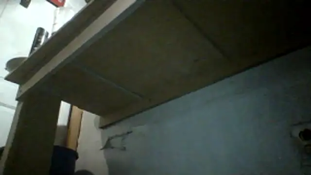 Show webcam de oglong