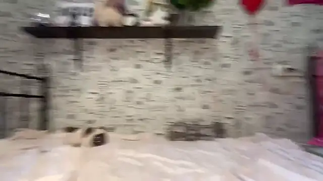 AngelSuperAss 现场XXX聊天