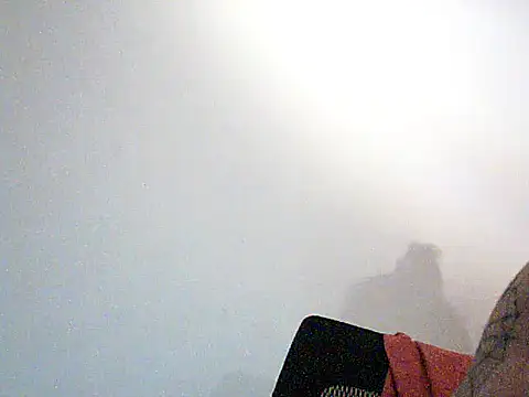 AlvinFoxxのウェブカメラショー
