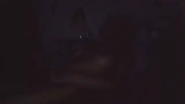 paradisejas élő XXX-chatje