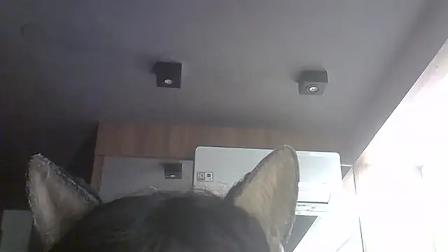Show de webcam de SkinnyKitten