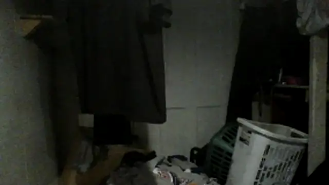Show Webcam de oglong