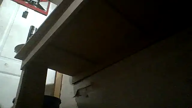 Show webcam de oglong