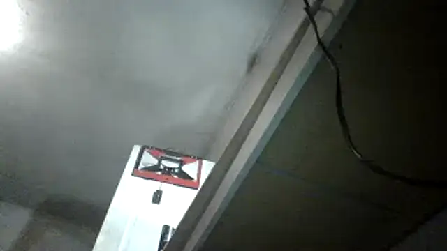 Show Webcam de oglong