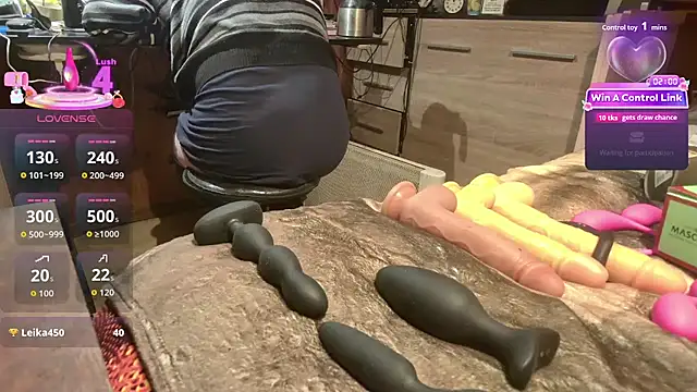 Show Webcam de misteryman1956