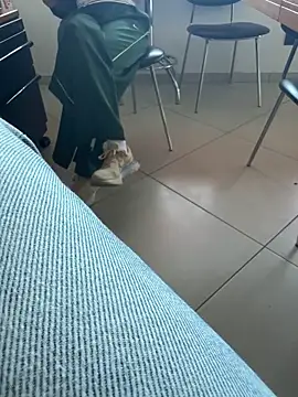 buodiculoのライブXXXチャット