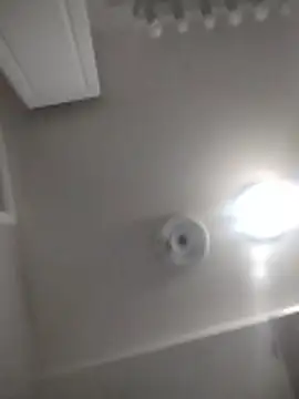 james81mzmga Webcam Show