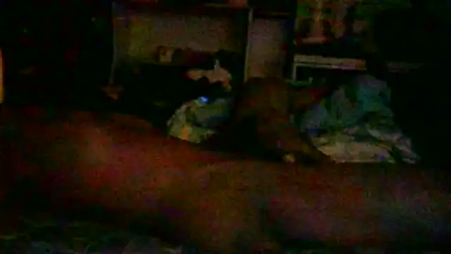 _P3RKY_IMMORTAL3_FIR3_ Live XXX-Chat