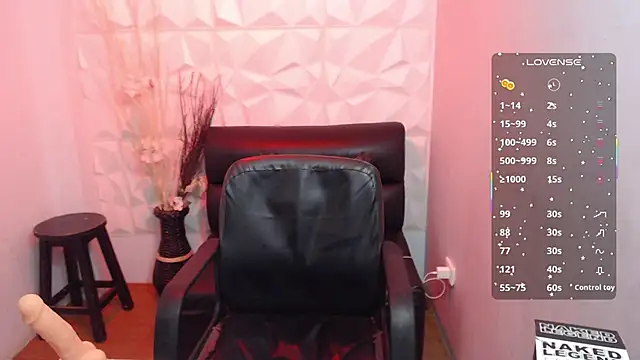 Stich_23 – webcam-show