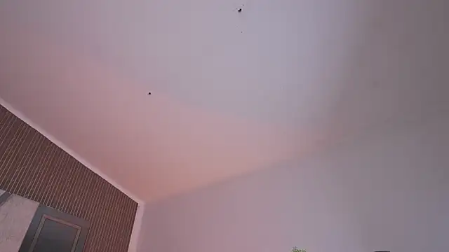 CleeoAdams_'s Live XXX Chat