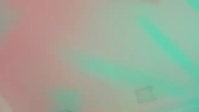 Sebax_Young 网络视讯表演