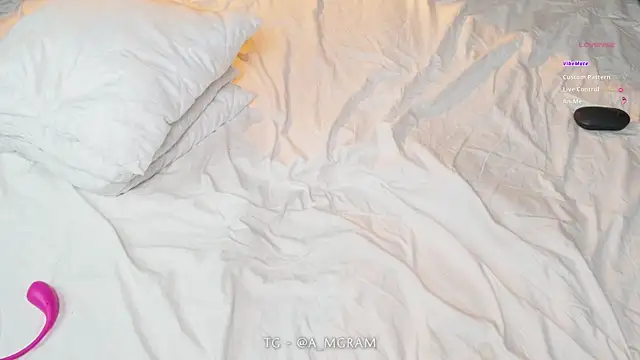 disco_elysium Show in webcam