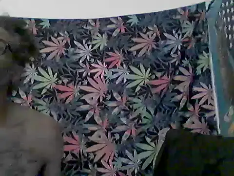Show Webcam de libraxxxstudios