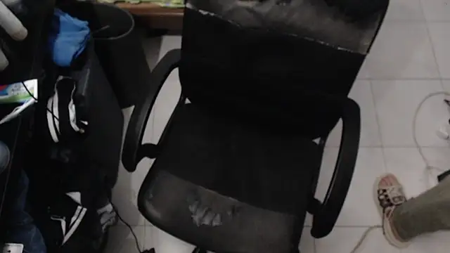 FVC91 Show in webcam