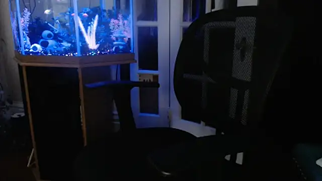 Chat XXX en directo de EspanolVato
