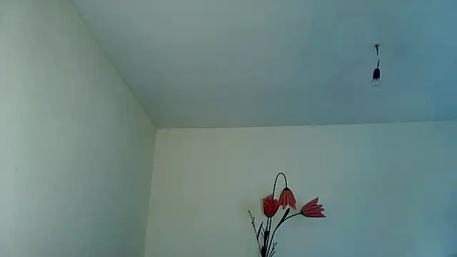 Chat XXX Live VixenVibesX