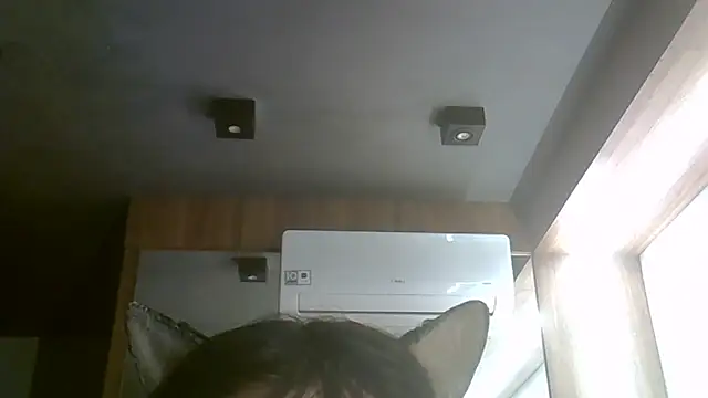 Show de SkinnyKitten na webcam