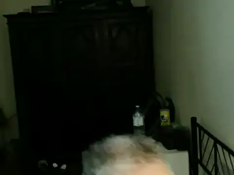 100Tauros Show Webcam