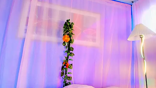 צ'אט XXX בשידור חי של liccy_hall