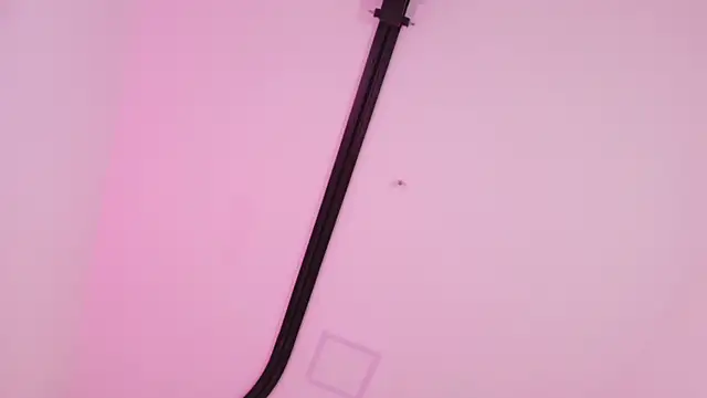 Malaia_thompson_'s Live XXX Chat