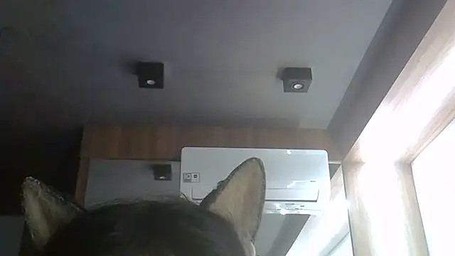 Show de webcam de SkinnyKitten