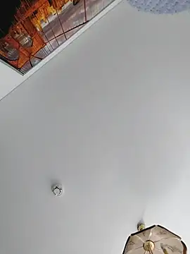 Toyjungee Webcam-Show