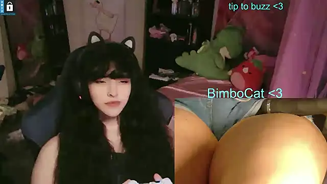 BimboCat's Webcam Show