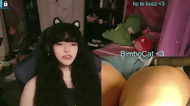 Онлайн чат XXX BimboCat