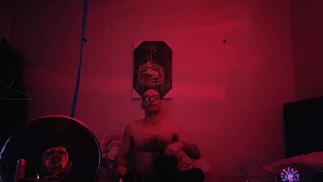 عرض كام hailzeffn