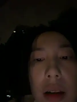 DD-5200 网络视讯表演