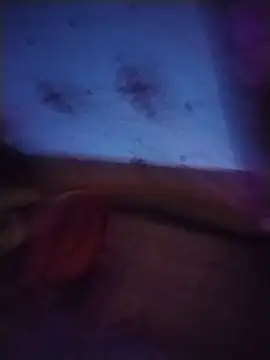 Xelenaxcbbs' Live XXX Chat