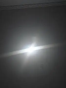 Gasc_1992 Live XXX-Chat
