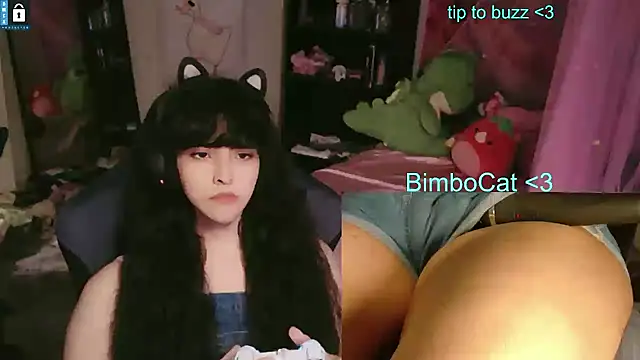 Chat XXX Live BimboCat
