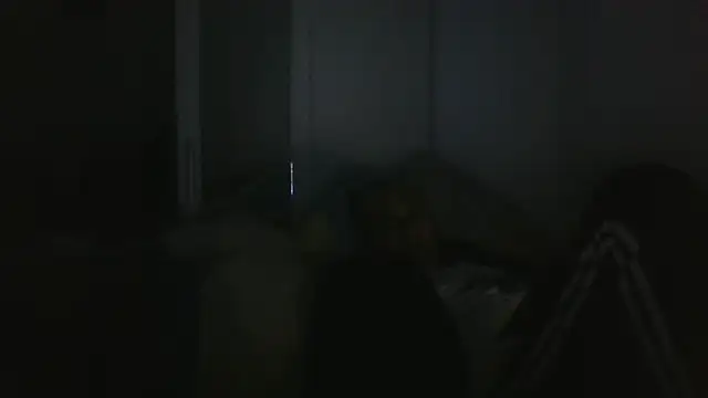 عرض كام vitalik66679