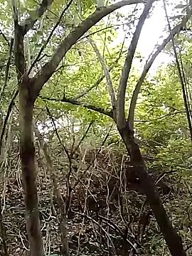 Živý XXX chat Peladoenelmonte