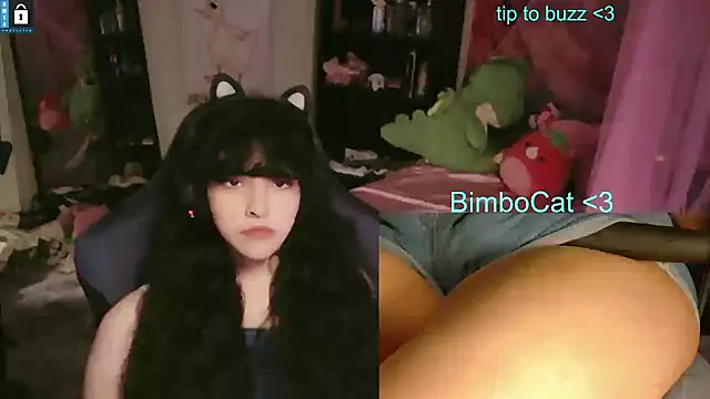 BimboCat 라이브 XXX 채팅